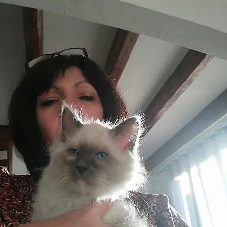 Apartamento Studio Les Mimosas Bormes-les-Mimosas